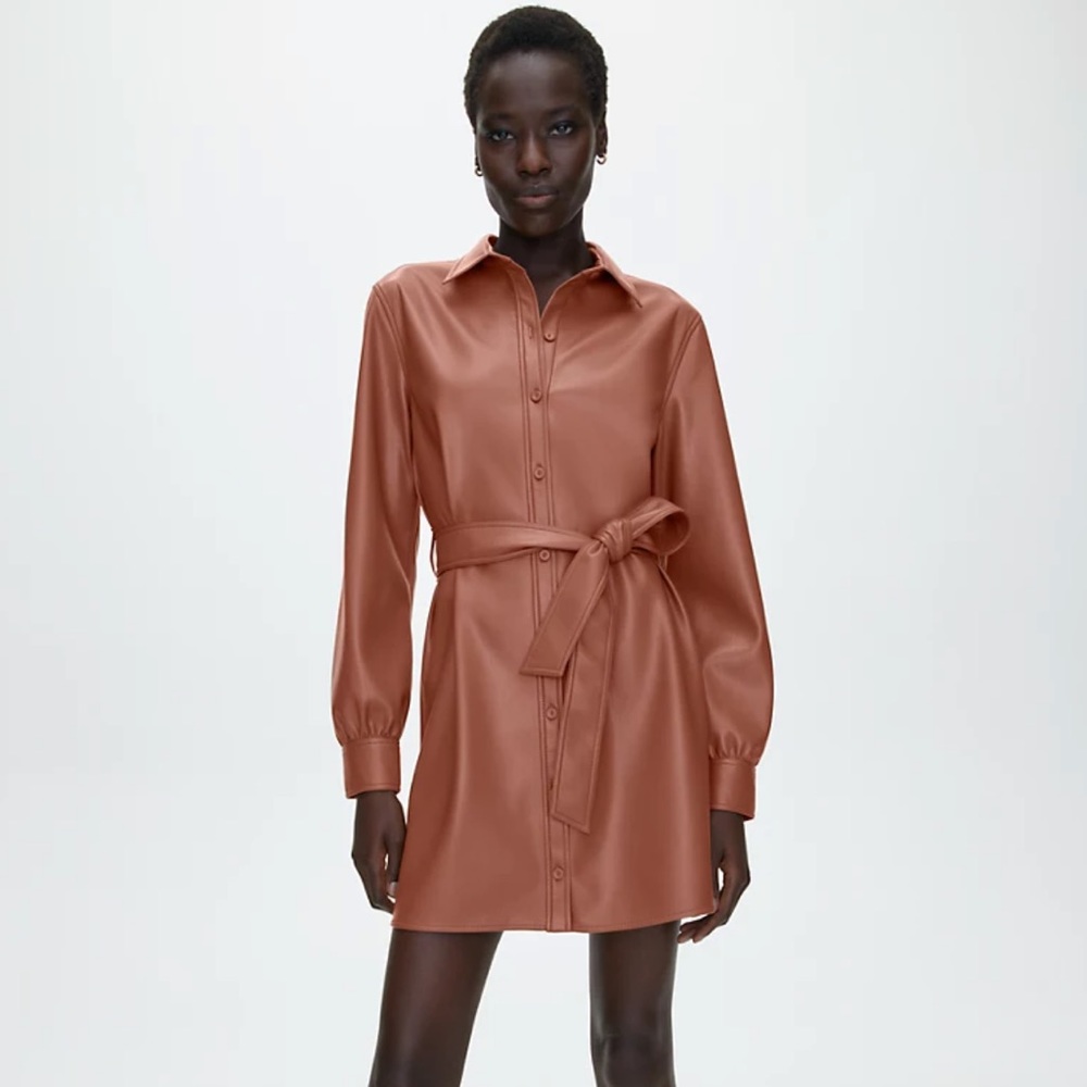 Aritzia Wilfred Caroline Vegan Leather Dress in Patina Brown